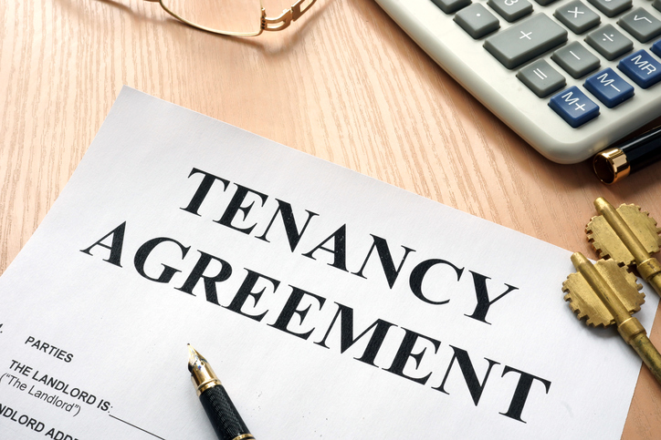 Tenant Agreement Application