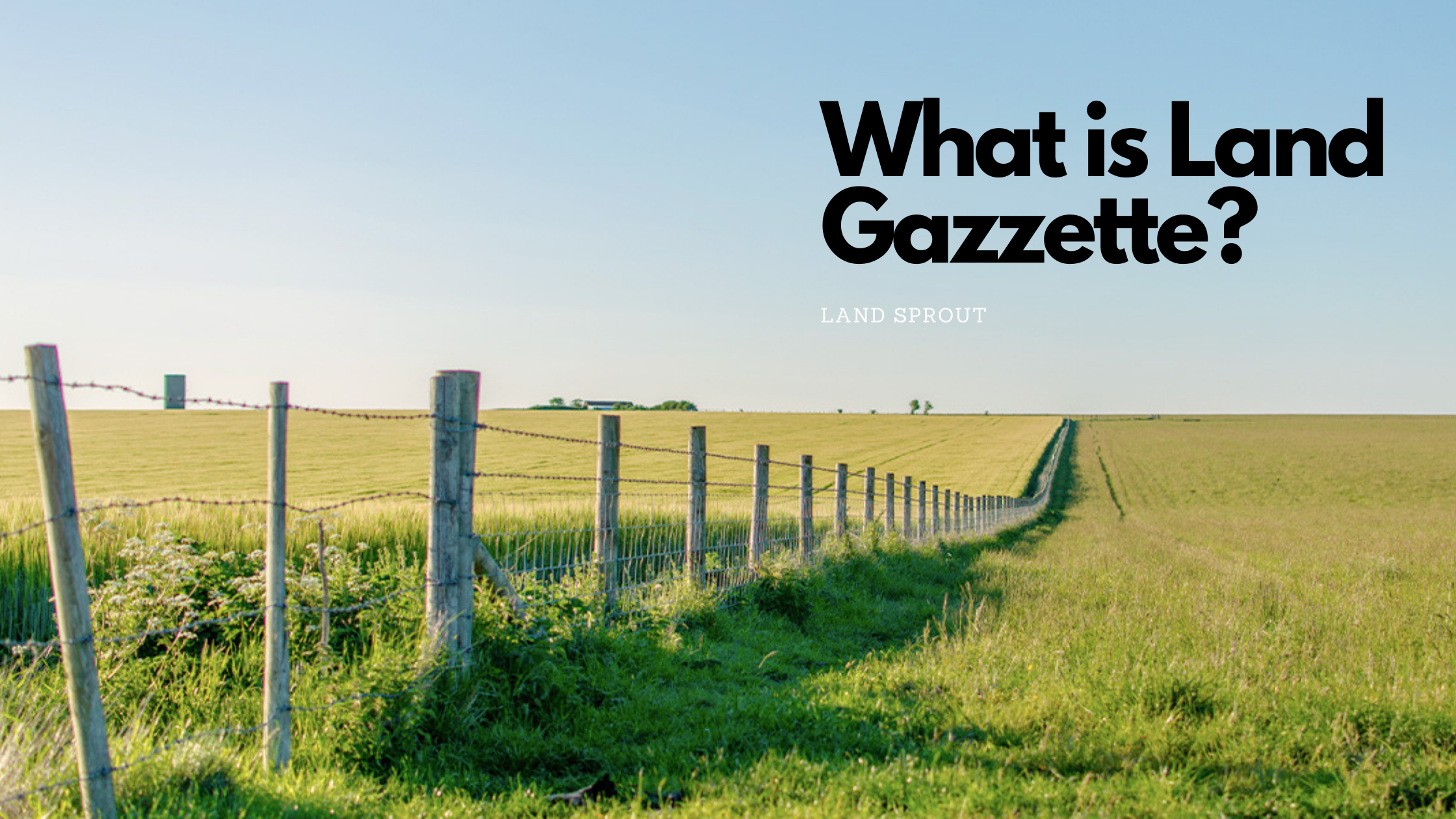 What You Need to Know About Land Gazette?