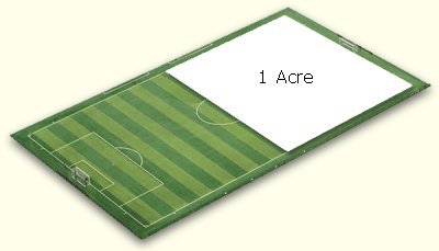 What you Need to Know about Acre of Land